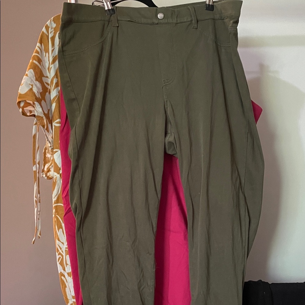Size 24 jeggins type pants hunter green